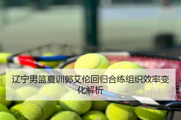 辽宁男篮夏训郭艾伦回归合练组织效率变化解析
